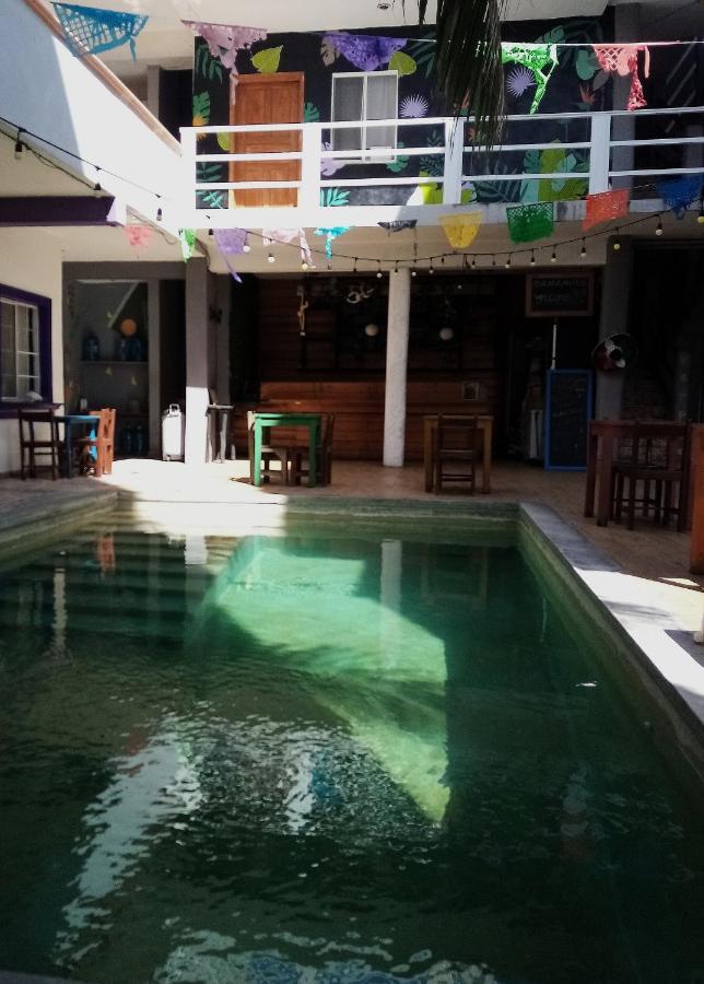 Les Trois Singes - Friendly Hostel Isla Mujeres Exterior photo